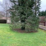 Terrain à bâtir à Castres-Gironde (33640)