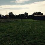 Terrain à bâtir à Saint-Magne (33125)