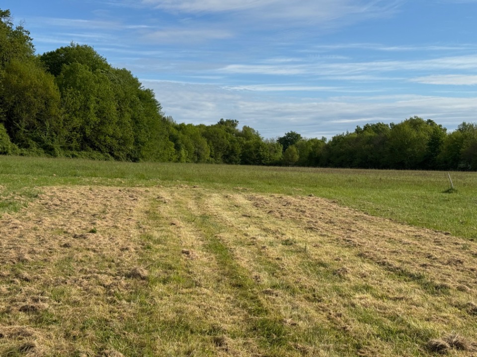 Terrain à bâtir à Saint-Germain-d’Esteuil (33340)
