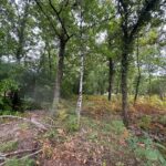 Terrain à bâtir à Grayan-et-l’Hôpital (33590)