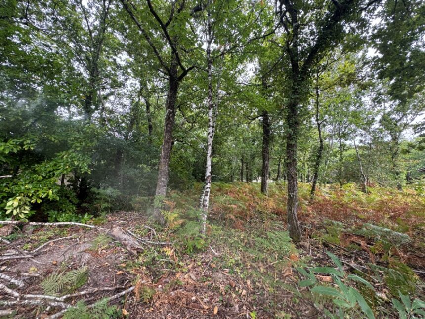 Maison à construire à Grayan-et-l’Hôpital (33590)