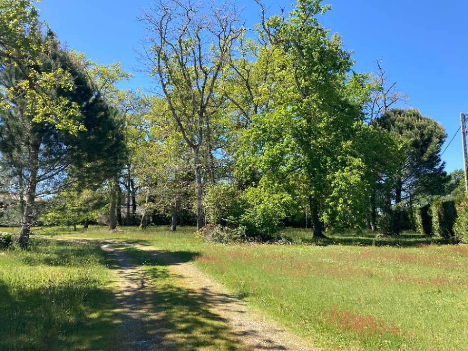 Terrain à bâtir à Podensac (33720)