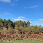 Maison à construire à Balizac (33730)