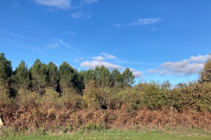 Terrain à bâtir à Balizac (33730)