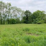 Terrain à bâtir à Virazeil (47200)