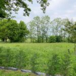 Maison à construire à Virazeil (47200)