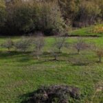 Maison à construire à Soulignac (33760)