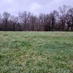 Maison à construire à Ribérac (24600)