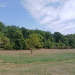 Terrain à bâtir à Saint-Martin-de-Ribérac (24600)
