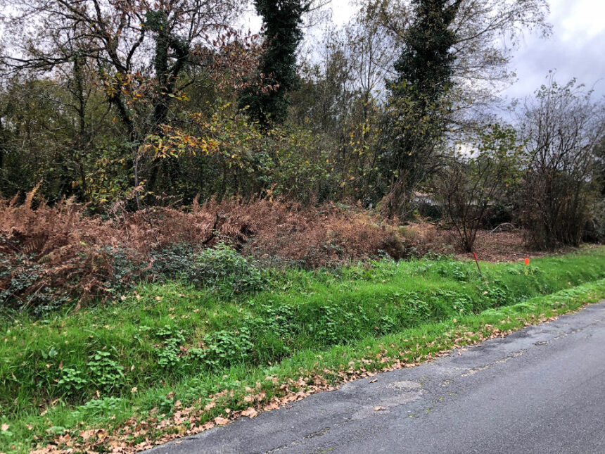 Maison à construire à Saint-Savin (33920)