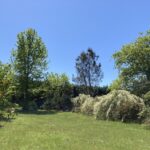 Maison à construire à Landiras (33720)