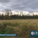 Terrain à bâtir à Saint-Paul-lès-Dax (40990)