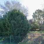 Terrain à bâtir à Échillais (17620)