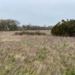 Terrain à bâtir à Pont-l’Abbé-d’Arnoult (17250)