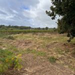 Terrain à bâtir à Génissac (33420)