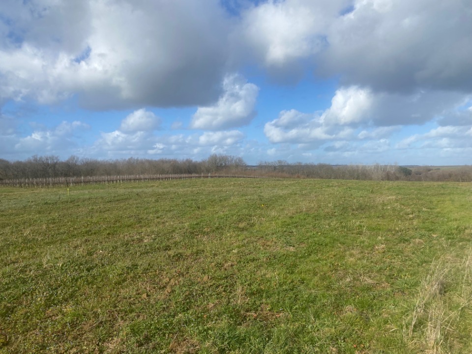 Terrain à bâtir à Monségur (33580)