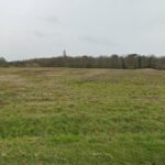 Maison à construire à Les Mathes (17570)