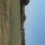 Maison à construire à Meursac (17120)