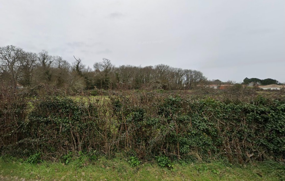 Terrain à bâtir à Étaules (17750)