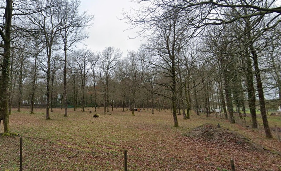 Terrain à bâtir à Médis (17600)