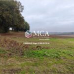 Terrain à bâtir à Nérac (47600)