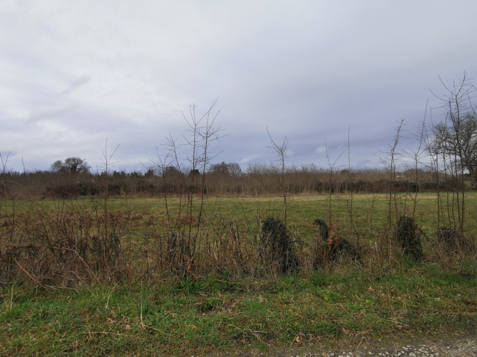 Terrain à bâtir à Saint-Pierre-d’Aurillac (33490)