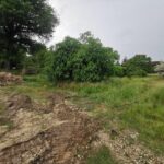 Terrain à bâtir à Roaillan (33210)