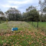 Terrain à bâtir à Bussac-Forêt (17210)