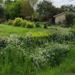 Terrain à bâtir à La Lande-de-Fronsac (33240)