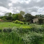 Terrain à bâtir à La Lande-de-Fronsac (33240)