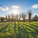 Maison à construire à Arbanats (33640)