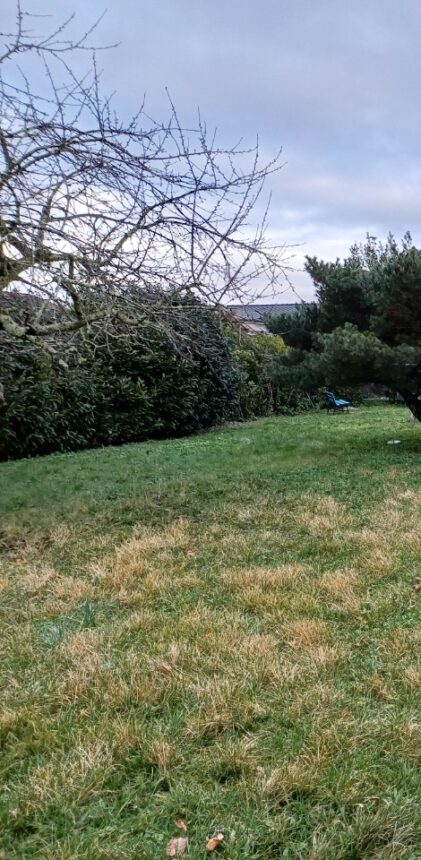 Terrain à bâtir à Castelnau-de-Médoc (33480)
