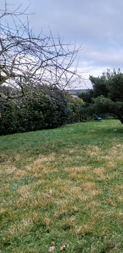 Terrain à bâtir à Castelnau-de-Médoc (33480)