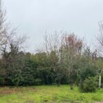 Maison à construire à Blanquefort (33290)