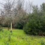 Maison à construire à Eysines (33320)