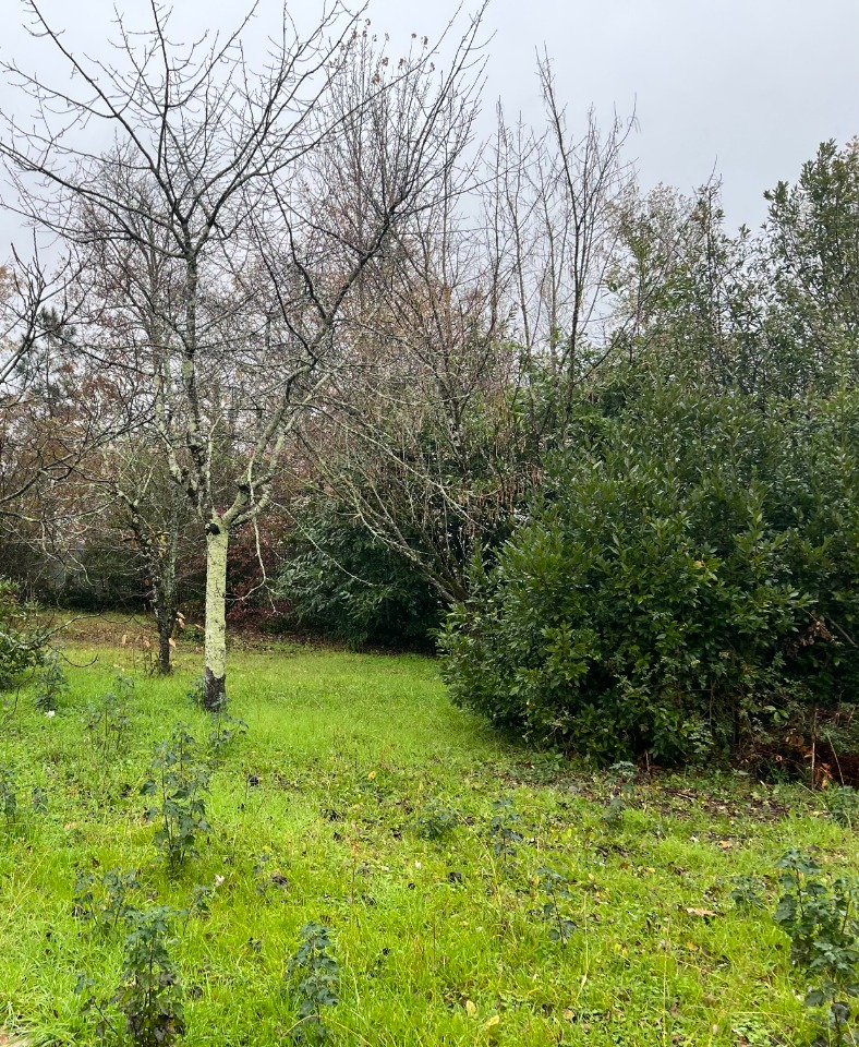 Terrain à bâtir à Eysines (33320)