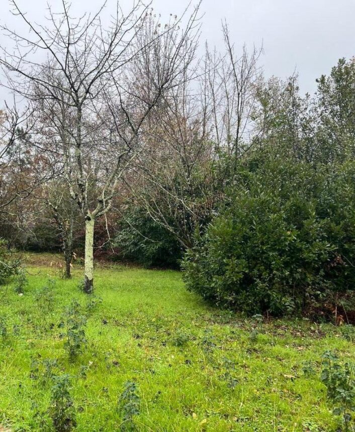 Maison à construire à Eysines (33320)