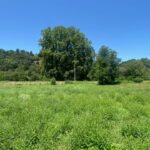 Terrain à bâtir à Lalinde (24150)