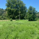 Terrain à bâtir à Lalinde (24150)