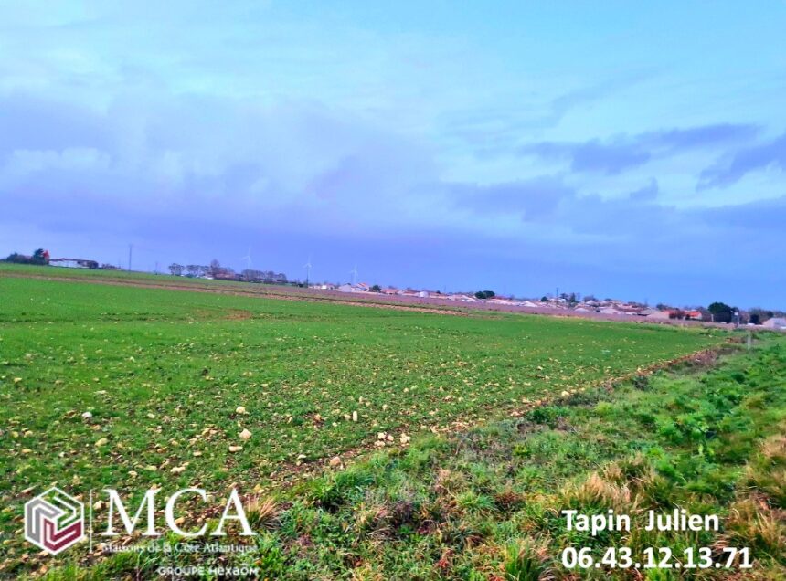 Maison à construire à Angliers (17540)
