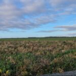 Terrain à bâtir à Ballon (17290)