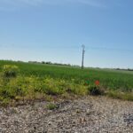 Terrain à bâtir à Saint-Médard-d’Aunis (17220)