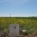Terrain à bâtir à Saint-Médard-d’Aunis (17220)