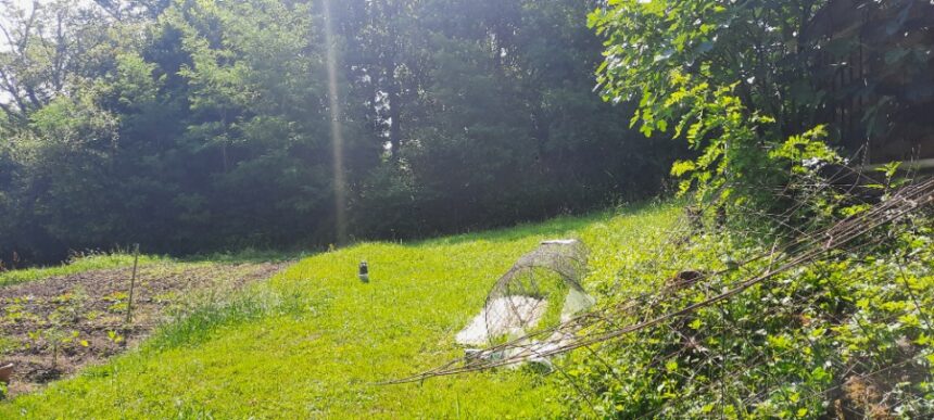 Maison à construire à Créon (33670)