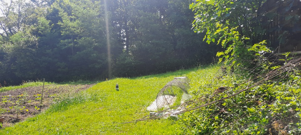 Terrain à bâtir à Créon (33670)