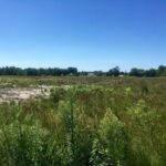 Maison à construire à Le Barp (33114)