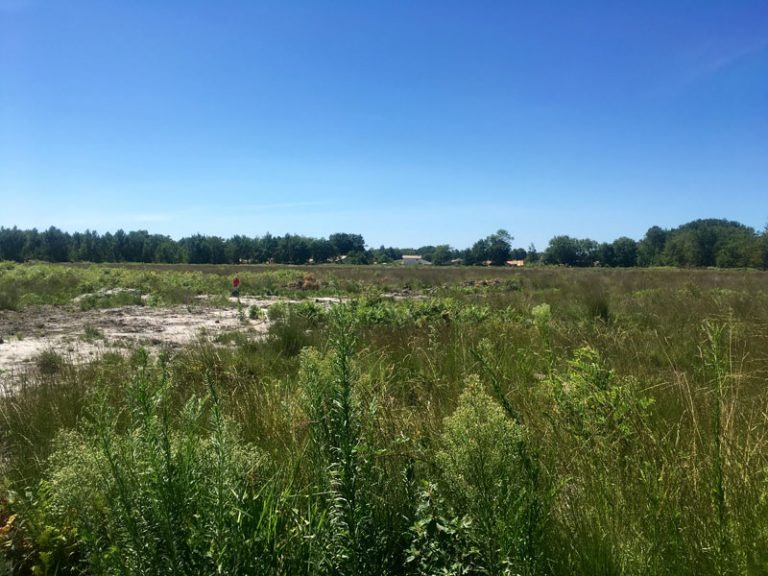 Terrain à bâtir à Le Barp (33114)