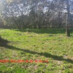 Maison à construire à Gujan-Mestras (33470)