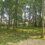 Maison à construire à Lanton (33138)