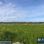 Maison à construire à Bourgneuf (17220)